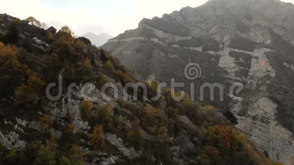 在针叶林上方的山区地形中飞越山区可以看到在视频的预览图