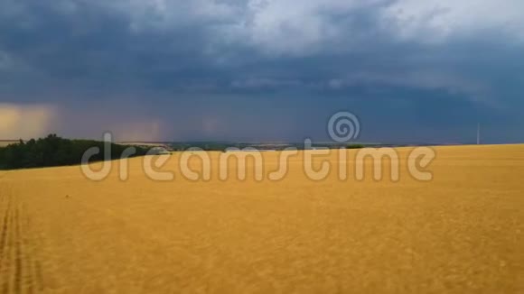 黄色麦田的空中拍摄上面乌云密布视频的预览图