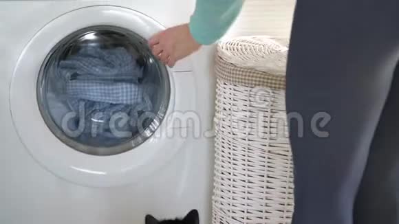 女人从洗衣机里洗衣服框中可见黑猫的耳朵视频的预览图