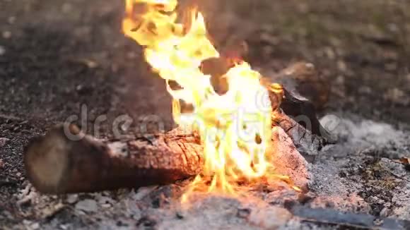 烧烤用木炭野餐用烤肉串视频的预览图