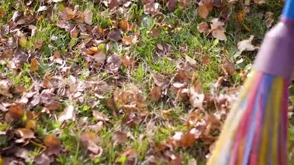 秋季时清理花园地面上五颜六色的黄色和橙色干叶扫一扫视频的预览图