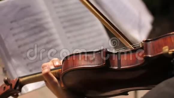 女音乐家在音符背景下演奏小提琴视频的预览图