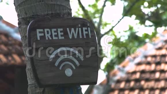 在夏季公园的树干上贴上免费的木制标牌城市公园树上免费WiFi木牌视频的预览图