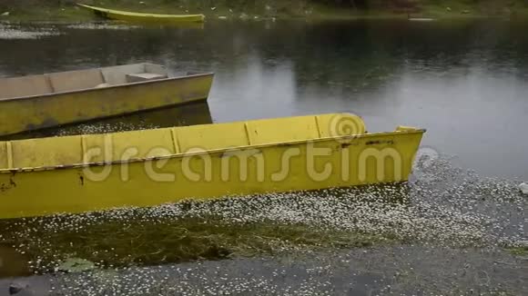 湖中小渔船的放松视野带着野花的小雨坠入水中视频的预览图