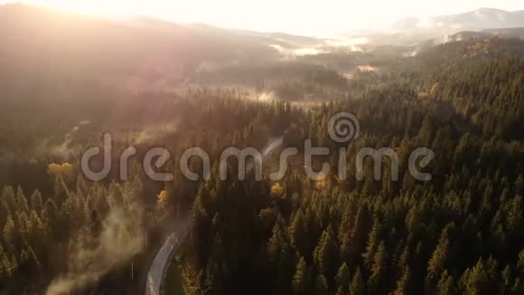 空山林雾村视频的预览图
