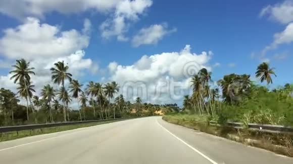 棕榈树的景色棕榈林通往多米尼加共和国的道路视频的预览图