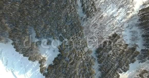 空中观景在白雪覆盖的森林上旋转视频的预览图