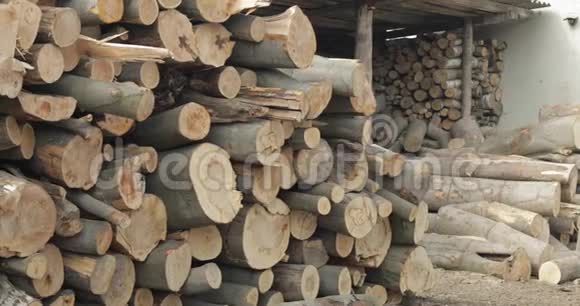木材采伐刚剪好的树木原木堆起来工业木材储存视频的预览图