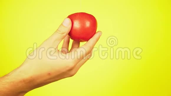新鲜的西红柿落在一个人手上滴水营养的概念在黄色背景上隔离视频的预览图