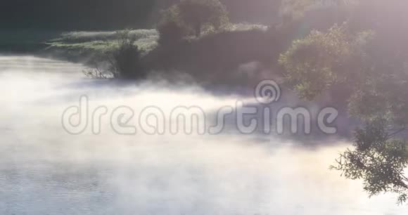 河上的雾夏日晴朗的早晨视频的预览图