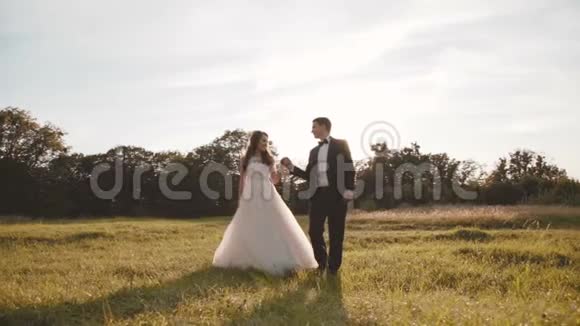 幸福的新婚夫妇在美丽的大自然上散步和旋转视频的预览图