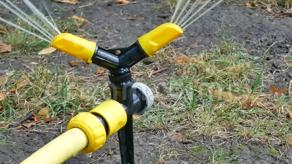 黄黑浇水草坪洒水系统喷水视频的预览图