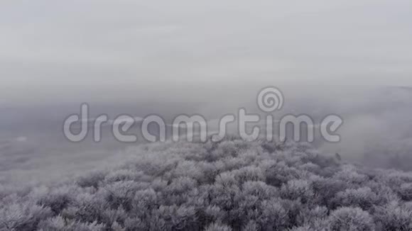 德龙拍摄了一片美丽的冬林视频的预览图