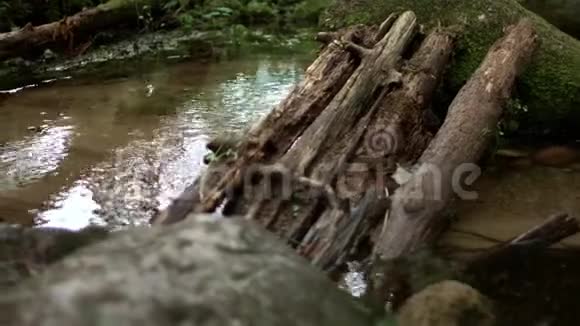 浅溪在大自然中流淌森林中的水视频的预览图