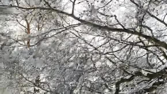白雪覆盖的海湾和木头视频的预览图
