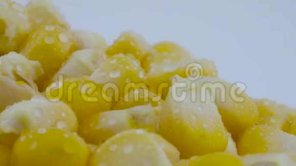 超级紧密的玉米粒水滴在转盘上旋转孤立在白色背景上视频的预览图