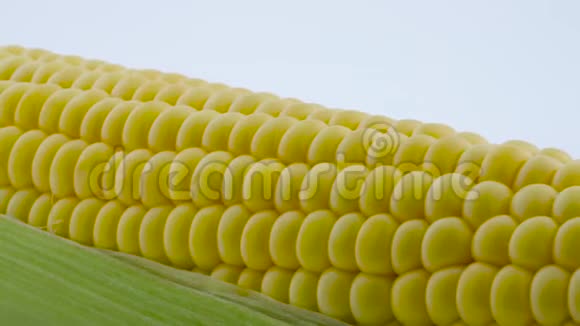 一个部分去皮的新鲜甜玉米在转盘上旋转孤立在白色背景上特写镜头宏观的视频的预览图