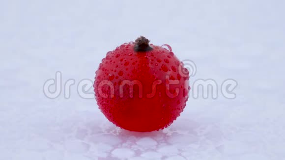 整个红醋栗浆果在框架的中心旋转孤立在白色背景上特写镜头宏观视频的预览图