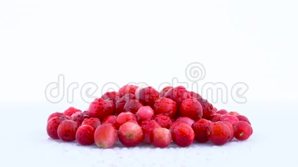 在转盘上旋转的几个林果莓在白色背景上隔离开来特写镜头宏观的水滴视频的预览图