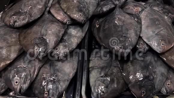 新鲜生鱼在海鲜市场出售视频的预览图