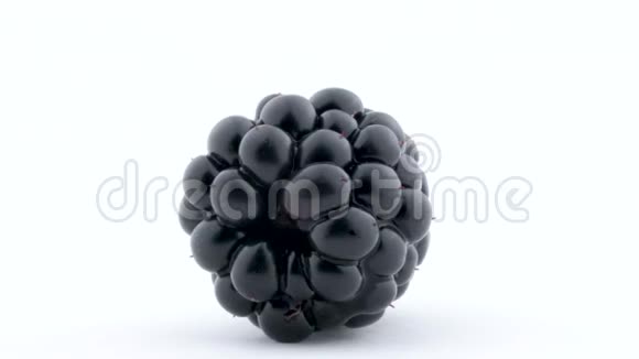 一个黑莓水果的宏在转盘上旋转分离在白色背景上特写镜头视频的预览图