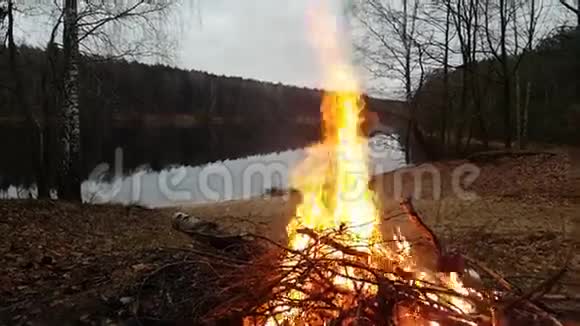慢动作的篝火视频的预览图