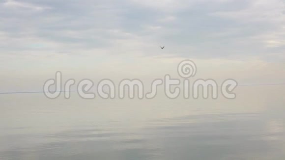 海鸥在日落时飞翔视频的预览图