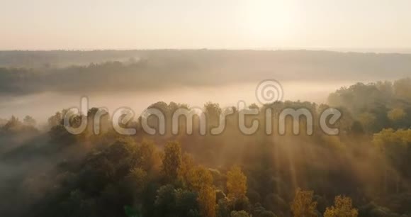 秋天的森林和草地上的日出4K从空中俯瞰太阳光线下的晨雾橙色的太阳光线视频的预览图