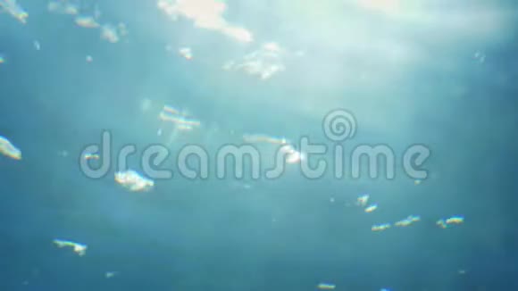 阳光照耀下的水下景色视频的预览图