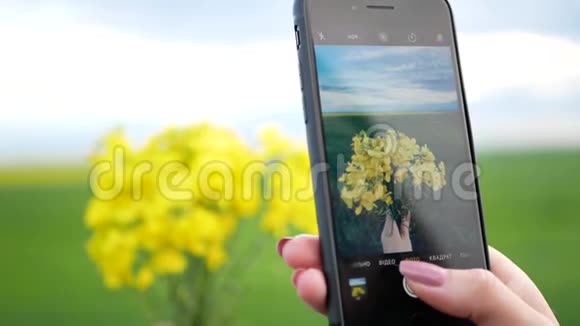 女孩在智能手机上拍黄色水仙花的照片视频的预览图