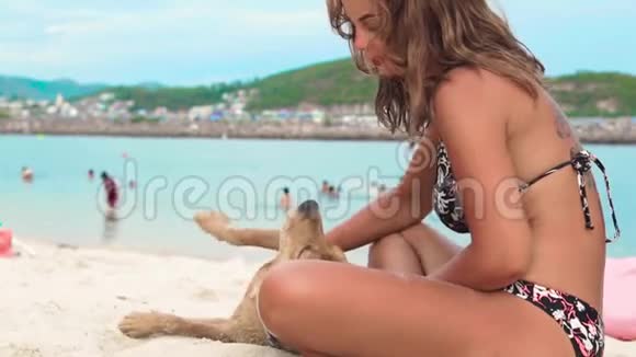 年轻女子在海上的夏天海滩上玩狗美丽的女人和狗在海边休息视频的预览图
