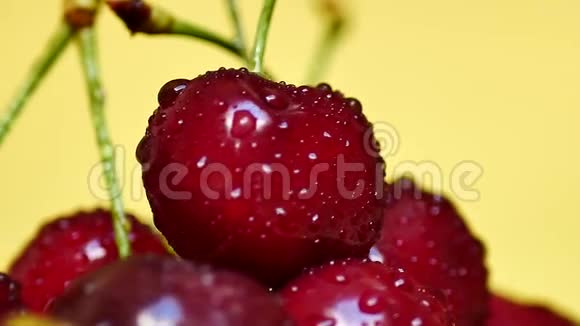 成熟多汁的深红色樱桃与水滴视频的预览图