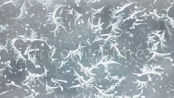 冬季降雪时冰冻玻璃视频的预览图