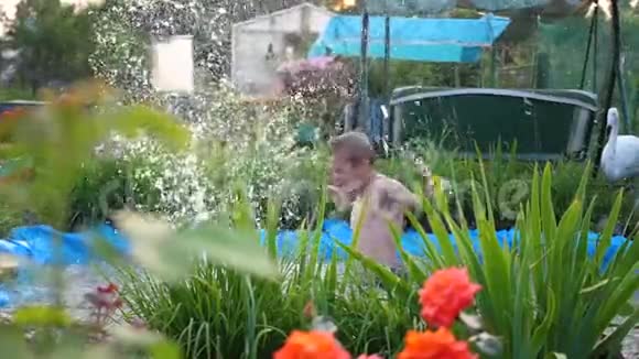 这个家伙在炎热的夏天在一个小湖里游泳男孩跳进水里造成水溅花园视频的预览图