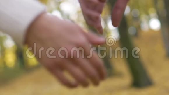 一对年轻夫妇在缓慢的动作中紧握双手浪漫的关系视频的预览图