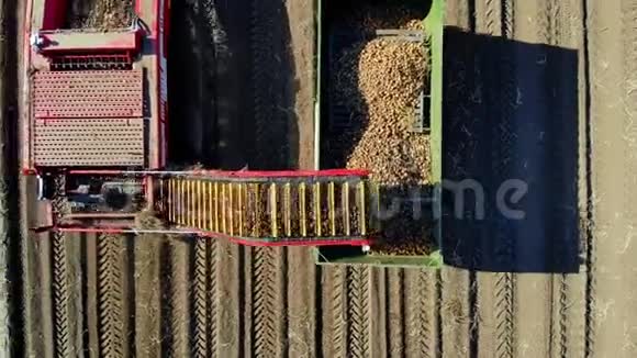 上景航空公司在马铃薯收获过程中在农场使用机械土豆采摘机挖掘和采摘视频的预览图
