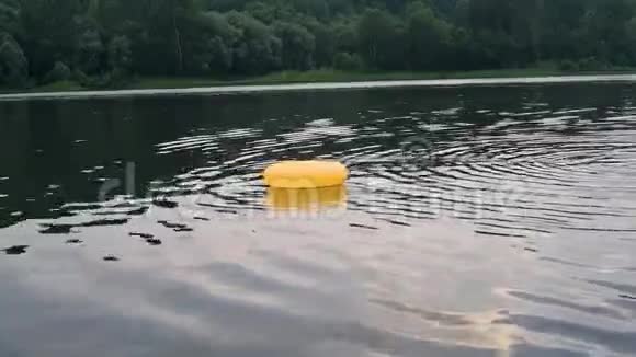 夏天水背景下的救生圈视频的预览图