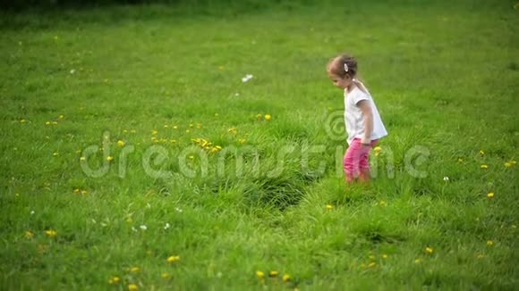 一个可爱的女孩和狗在草地上嬉戏天气晴朗她被绿草包围了视频的预览图