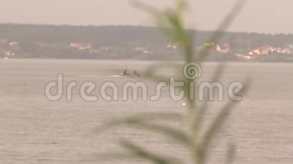 摩托艇在水面上快速移动视频的预览图