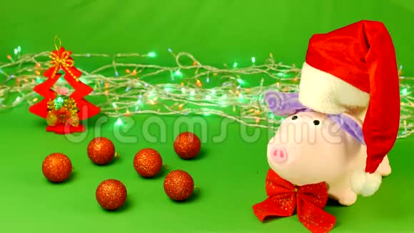 戴着圣诞老人帽子的软玩具猪站在一个装饰物上圣诞节慢动作视频的预览图
