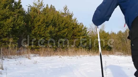 晴天越野滑雪一个人在冬天的森林里慢动作滑雪视频的预览图