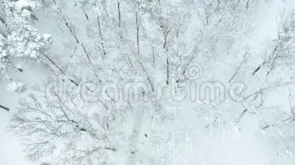鸟瞰在雪地公园奔跑的人视频的预览图