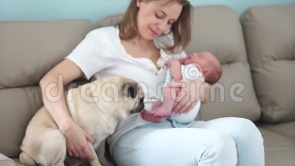 幸福的家庭孩子和动物一位年轻的母亲抱着一个新生婴儿坐在沙发上附近视频的预览图
