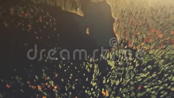 高山湖日出木景鸟瞰视频的预览图