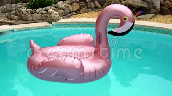 粉红色的火烈鸟橡胶圈上面覆盖着水滴漂浮在游泳池里视频的预览图