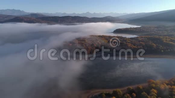 无人机拍摄了一片雾就在被黄色秋林包围的湖面上视频的预览图