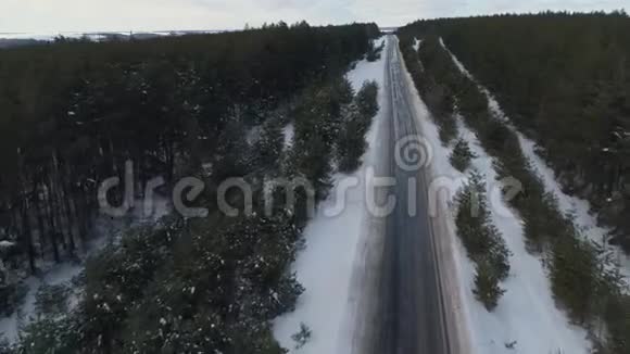 沥青路穿过松林冬季林道交通冬季森林空中勘测视频的预览图