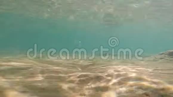 清澈的蓝色水和金色的海底视频的预览图
