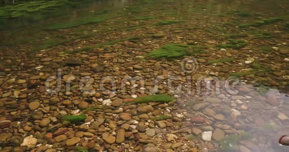 宁静的灌木河景清澈的河水石质河床和绿藻视频的预览图