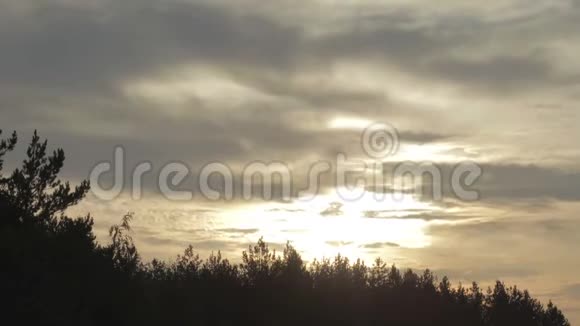 傍晚日落时分天空中的云彩在森林的轮廓之上移动视频的预览图